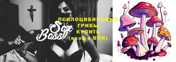 тгк Абаза