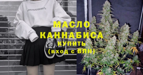 тгк Абаза