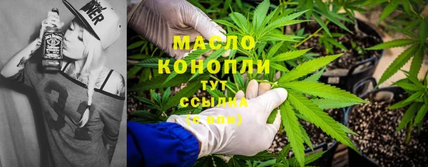 тгк Абаза