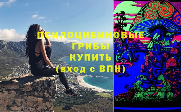 ГАЛЛЮЦИНОГЕННЫЕ ГРИБЫ Абдулино