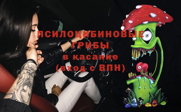 ГАЛЛЮЦИНОГЕННЫЕ ГРИБЫ Абдулино