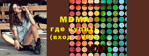 индика Каменка