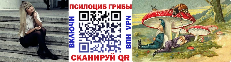 Псилоцибиновые грибы GOLDEN TEACHER Питкяранта
