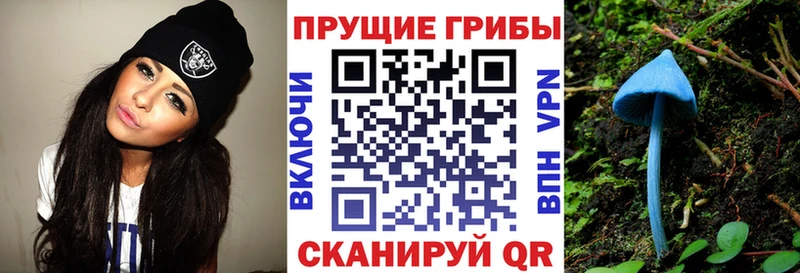 Псилоцибиновые грибы MAGIC MUSHROOMS  Питкяранта 